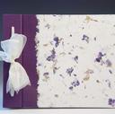 Purple Larkspur photo album