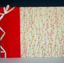 Red Plum Blossom photo album